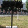 Уличный цветник