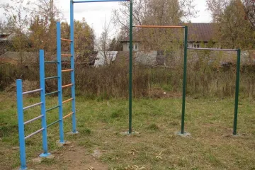 Шведская стенка с турником