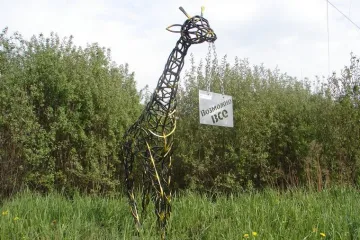 Малые формы для сада